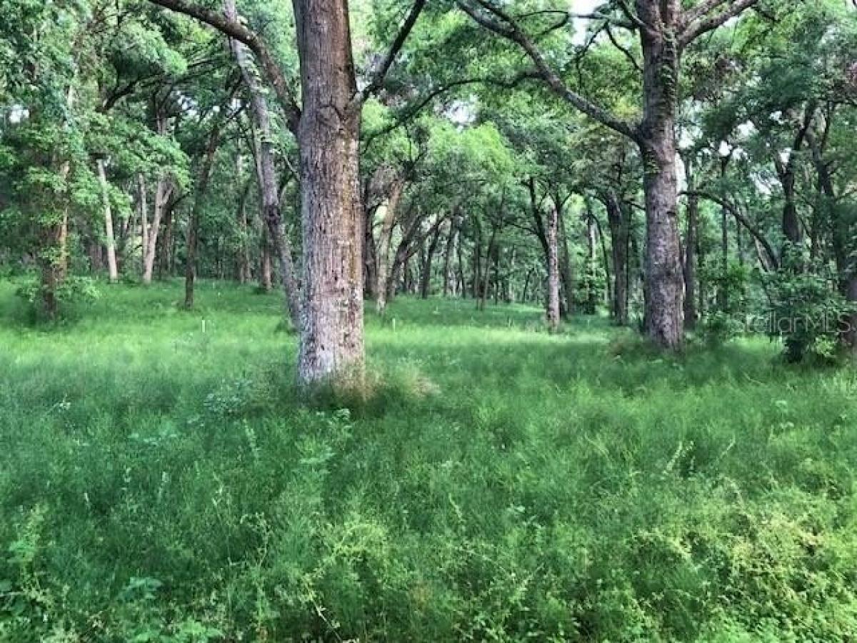  Land in Eustis, USA No. 491545