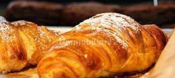 2 rooms Commercial property in Scandiano, Italy No. 224264 12