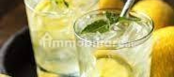 2 rooms Commercial property in Scandiano, Italy No. 224264 23