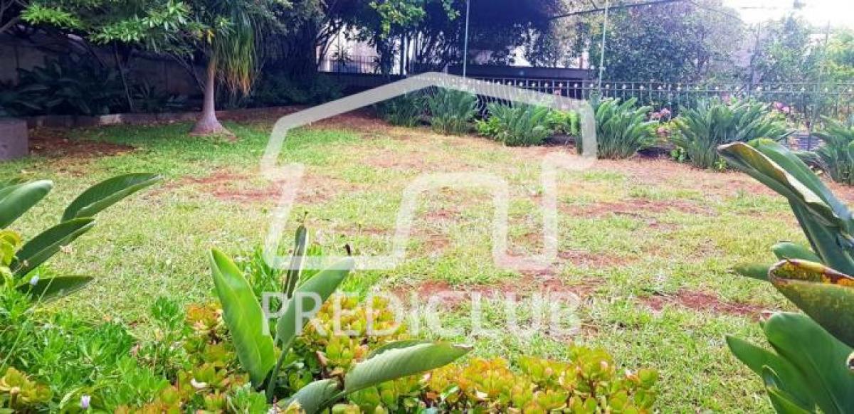 7 Schlafzimmer Haus in Funchal, Portugal, Nr. 70