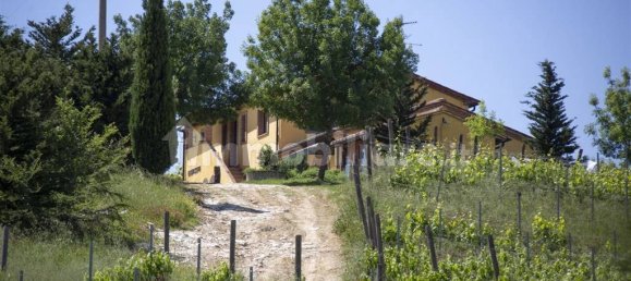 5 rooms Commercial property in Guardistallo, Italy No. 117009 14
