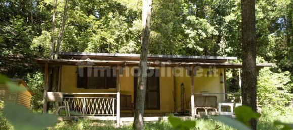 5 rooms Commercial property in Guardistallo, Italy No. 117009 17