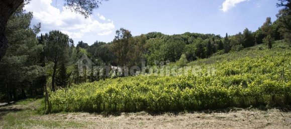 5 rooms Commercial property in Guardistallo, Italy No. 117009 16