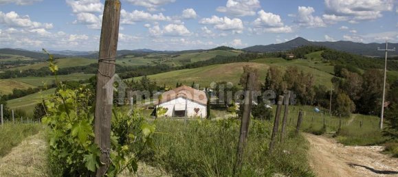 5 rooms Commercial property in Guardistallo, Italy No. 117009 15