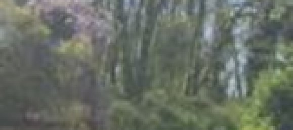 7 rooms Apartment in San Cesareo, Italy No. 27228 4