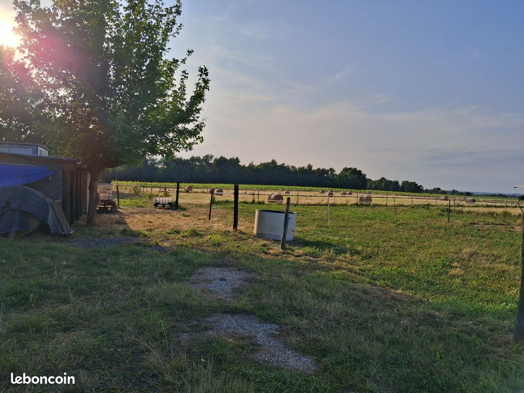  Parking in Gironde, France No. 336799