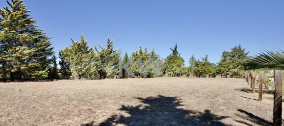 13 غرف نوم قطعة أرض في Grandola, Portugal رقم 134848 24