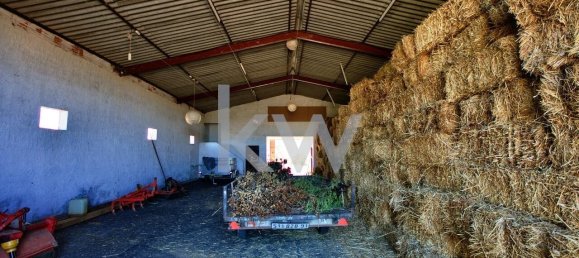 13 غرف نوم قطعة أرض في Grandola, Portugal رقم 134848 47