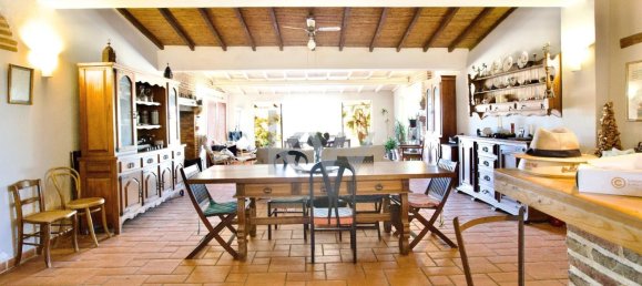 13 غرف نوم قطعة أرض في Grandola, Portugal رقم 134848 2