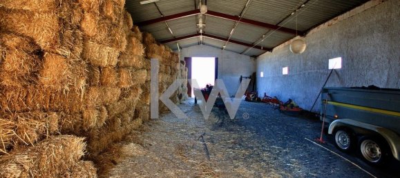 13 غرف نوم قطعة أرض في Grandola, Portugal رقم 134848 46