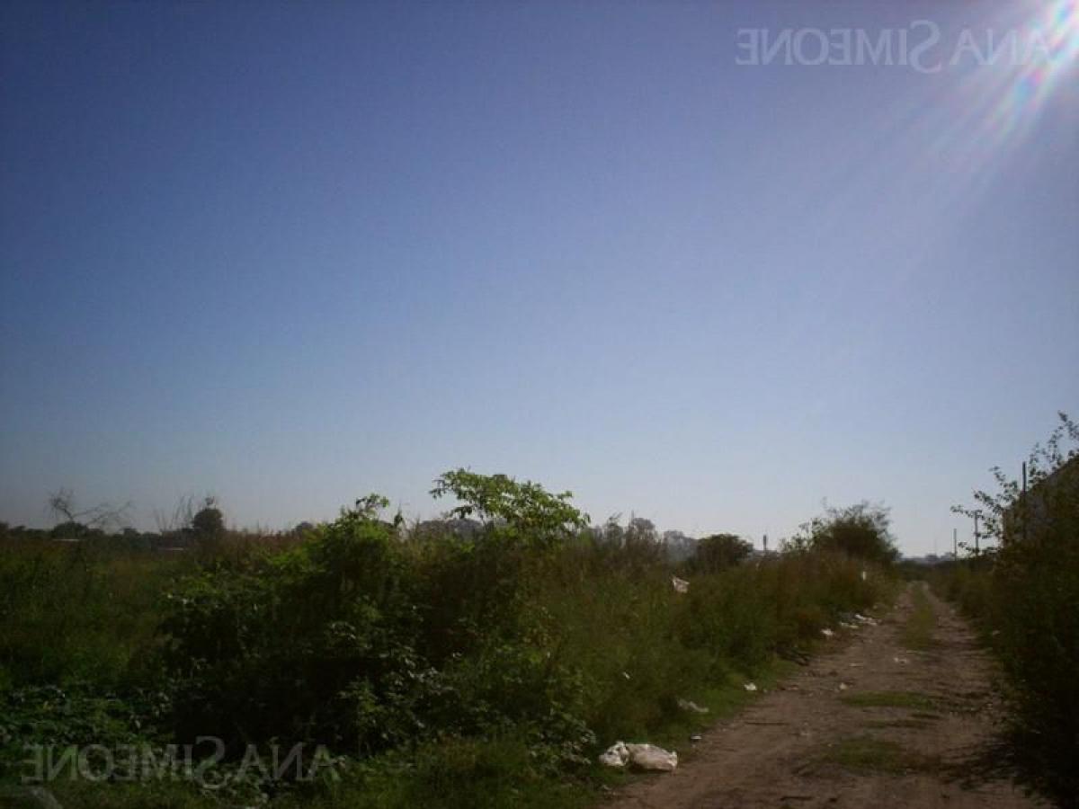 Land in Tigre, Argentina No. 34594