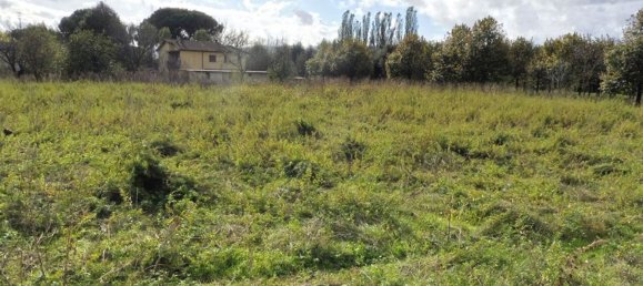 34551m² Land in Collesalvetti, Italy No. 336060 4