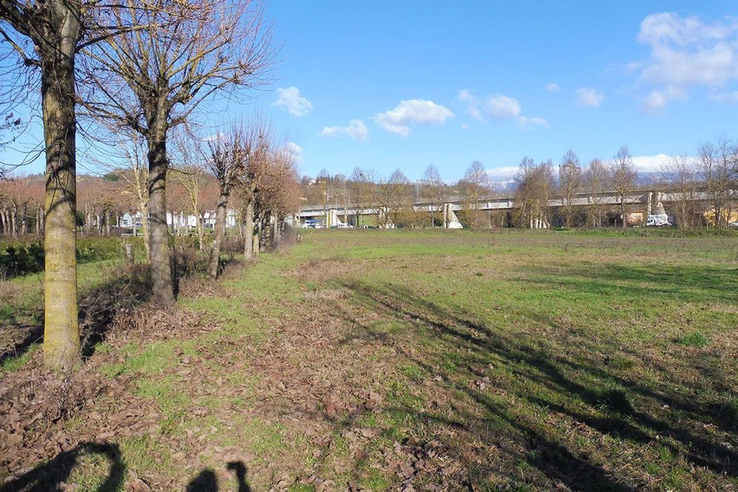 34551m² Land in Collesalvetti, Italy No. 336060