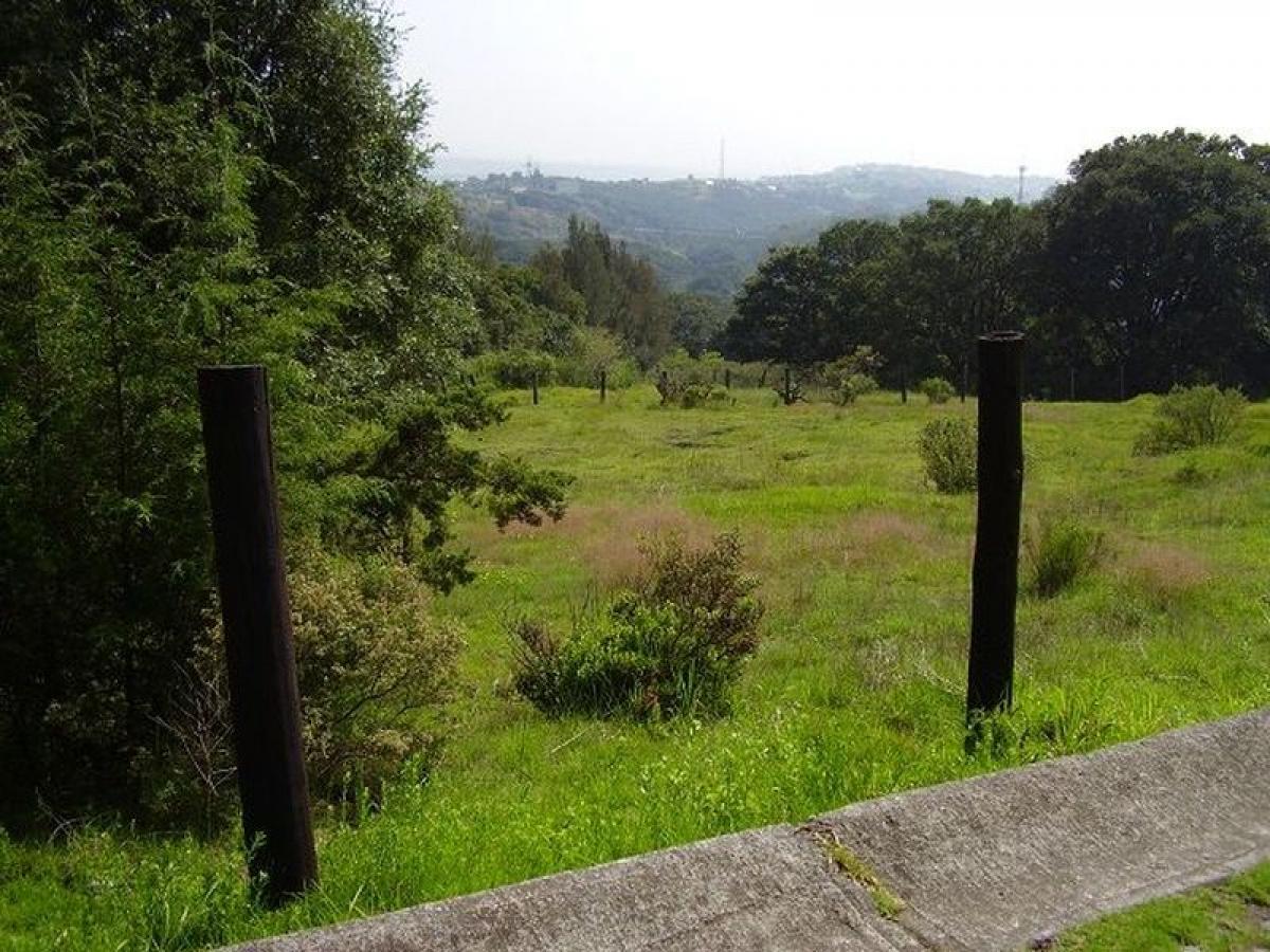 Grundstück in Naucalpan de Juarez, Mexico, Nr. 205382