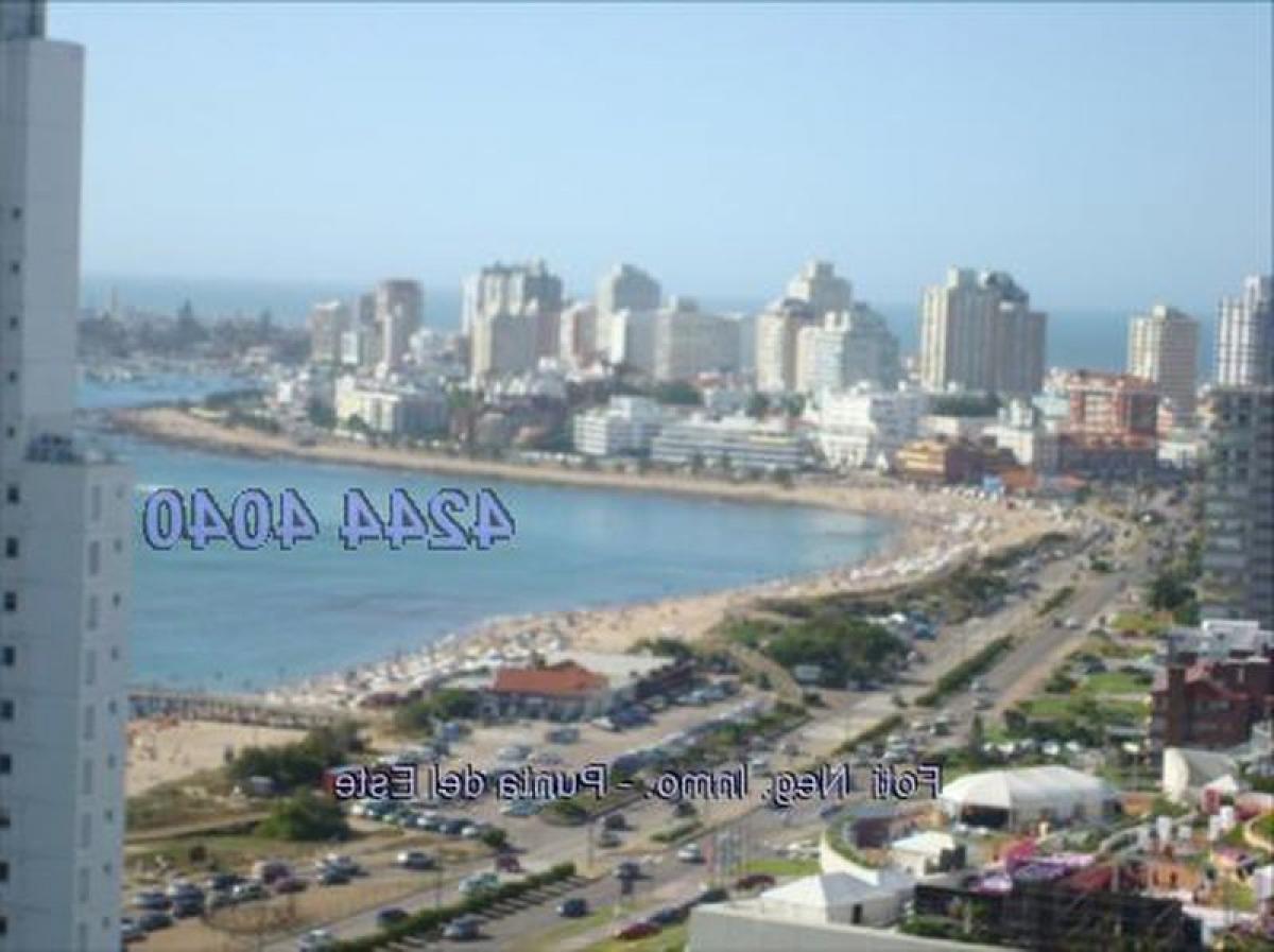 Квартира с 3 спальнями в Пунта-дель-Эсте, Уругвай № 10155