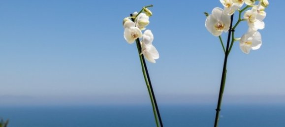 Земельный участок с 2 спальнями в Гран Алакант, Испания № 9248 11