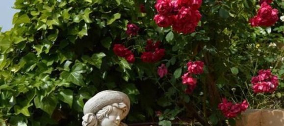 6 bedrooms Castles in Silves, Portugal No. 129251 13