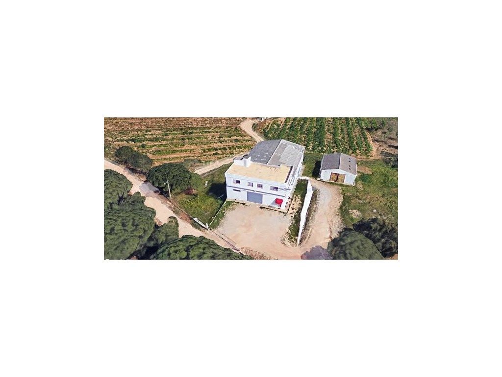 560m² Warehouse in Almancil, Portugal No. 218594