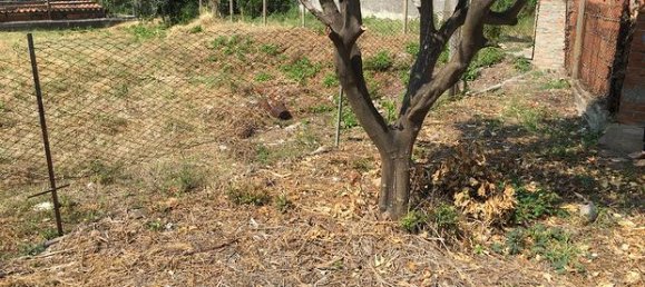 4 rooms Villa in Milazzo, Italy No. 273575 3