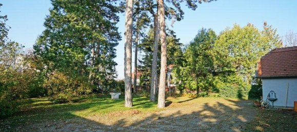 9 rooms Villa in Tulln an der Donau, Austria No. 3190 5