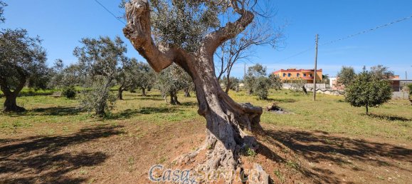 Villa de 5 habitaciónes en Gallipoli, Italy No. 237761 4