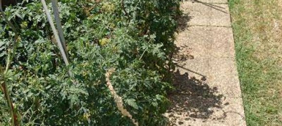 Casa de 2 dormitorios en Strasshof an der Nordbahn, Austria No. 152100 11