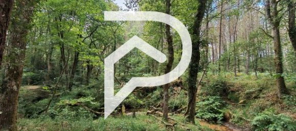 3 Schlafzimmer Haus in Mont-de-Marsan, France, Nr. 313806 16