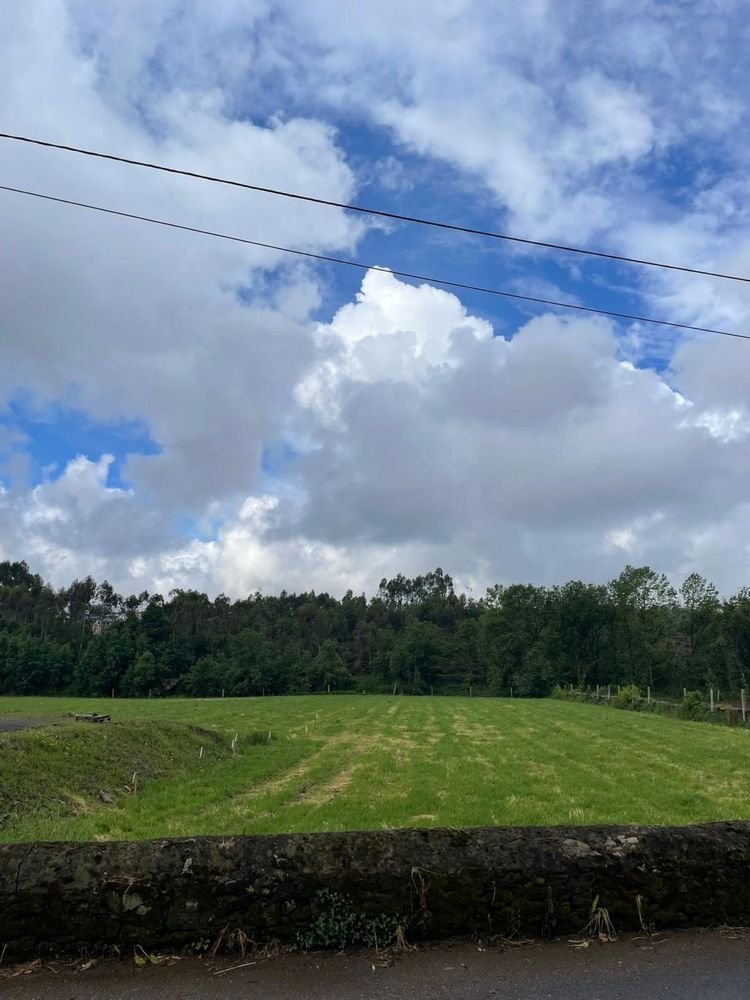  Land in Ribeirao, Portugal No. 260041