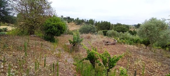 2 Schlafzimmer Haus in Tomar, Portugal, Nr. 23986 7