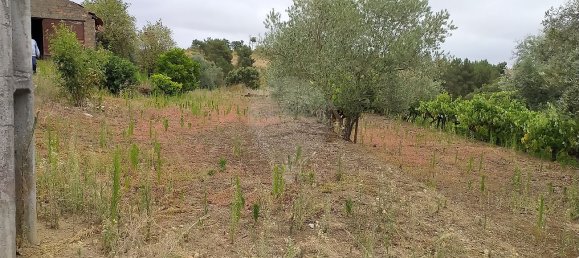 2 Schlafzimmer Haus in Tomar, Portugal, Nr. 23986 6