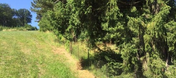 Terreno en Mauerbach, Austria No. 69112 2