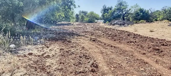  قطعة أرض في Faro, Portugal رقم 13386 6