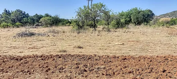  قطعة أرض في Faro, Portugal رقم 13386 2