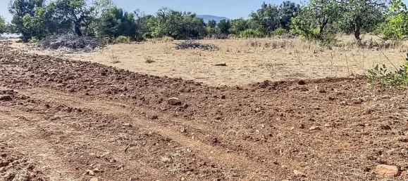  قطعة أرض في Faro, Portugal رقم 13386 5