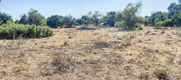  قطعة أرض في Faro, Portugal رقم 13386 4