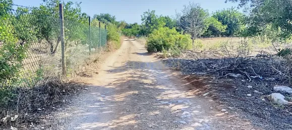  قطعة أرض في Faro, Portugal رقم 13386 9