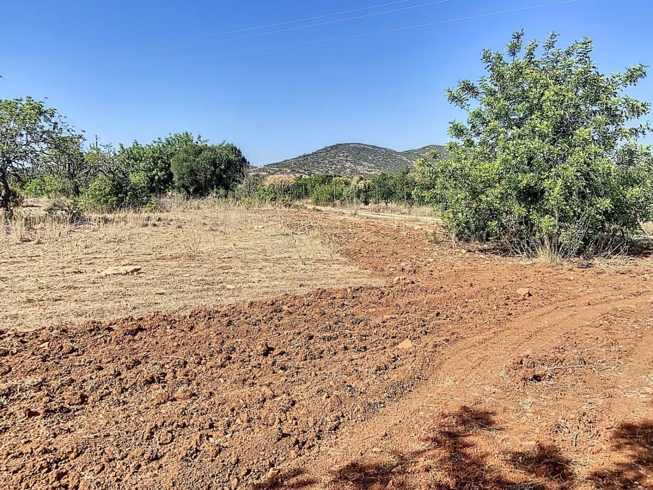  قطعة أرض في Faro, Portugal رقم 13386