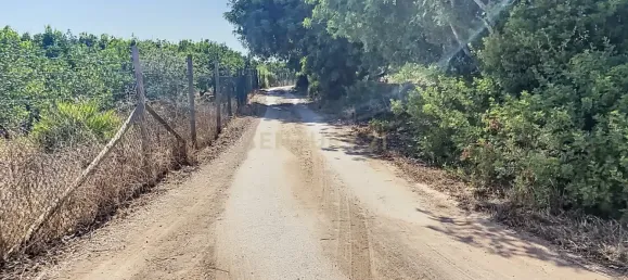  قطعة أرض في Faro, Portugal رقم 13386 8