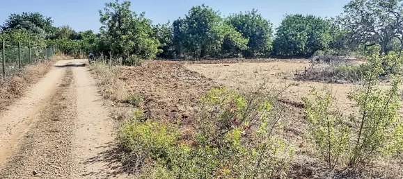  قطعة أرض في Faro, Portugal رقم 13386 3