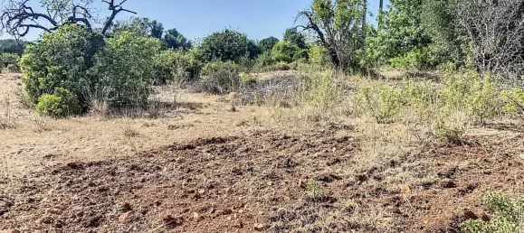  قطعة أرض في Faro, Portugal رقم 13386 7