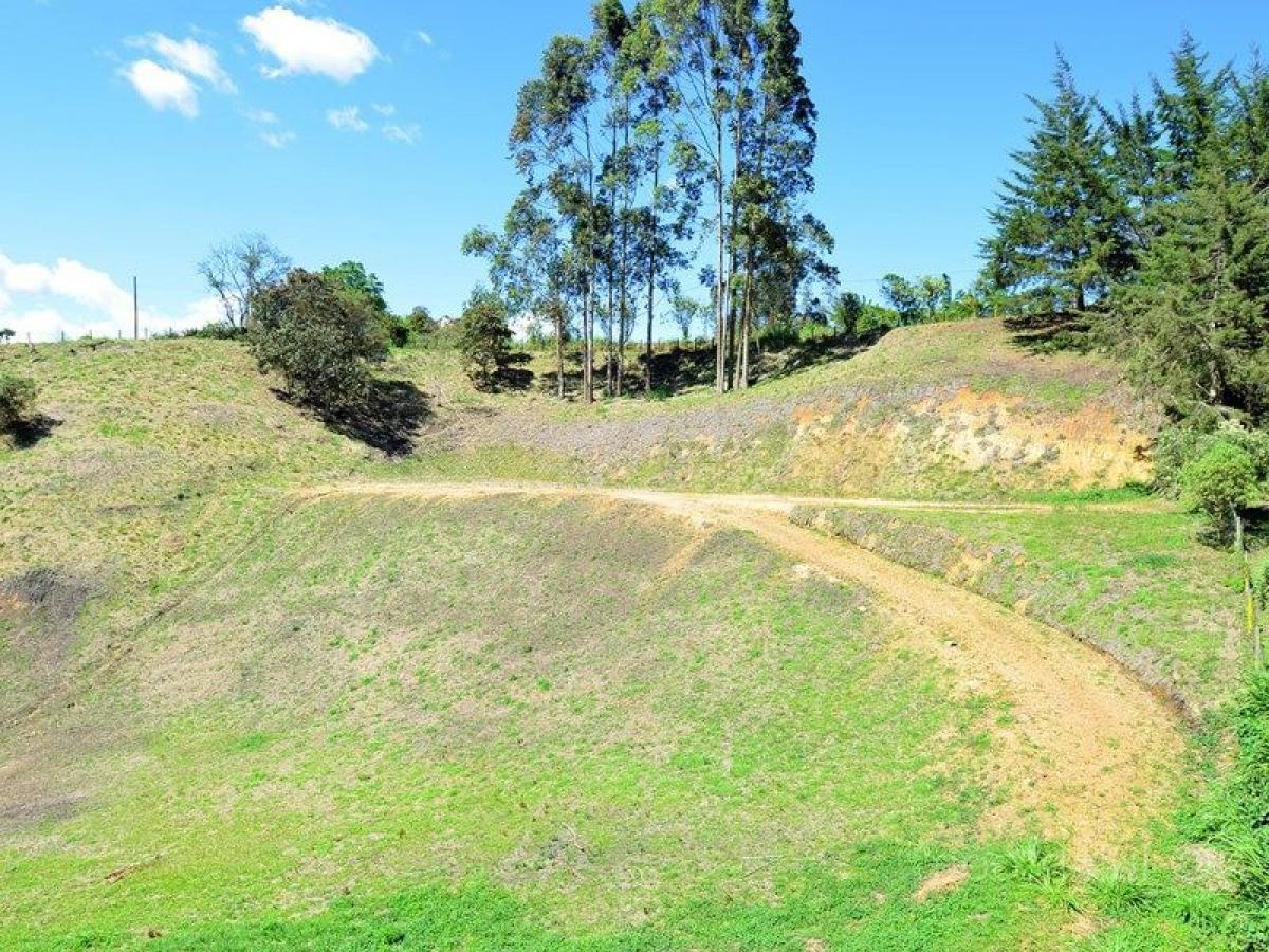  قطعة أرض في Antioquia, Colombia رقم 507