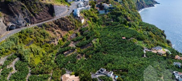 2295m² Land in Calheta, Portugal No. 141163 6