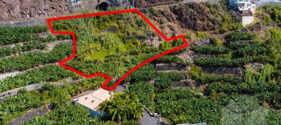 2295m² Land in Calheta, Portugal No. 141163 8