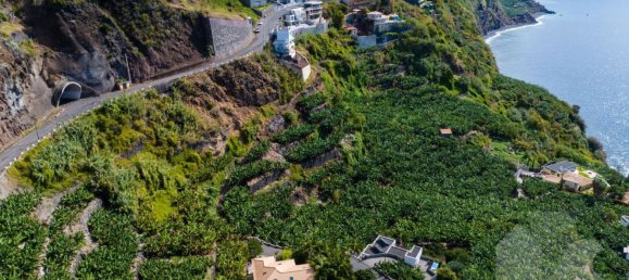 2295m² Land in Calheta, Portugal No. 141163 7