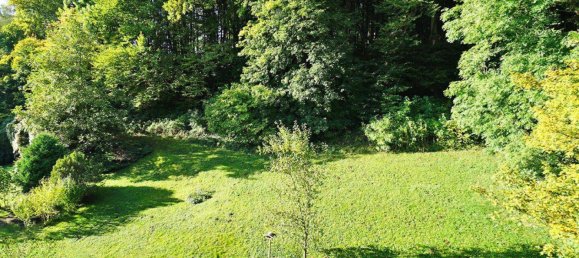 2 rooms Apartment in Purkersdorf, Austria No. 149388 8