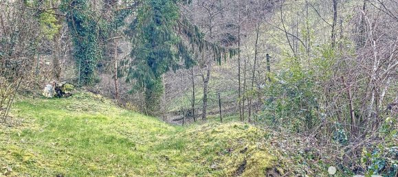 2 bedrooms Castles in Sainte-Croix-aux-Mines, France No. 75186 7