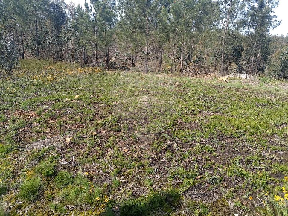 12469m² Land in Lousada, Portugal No. 202791