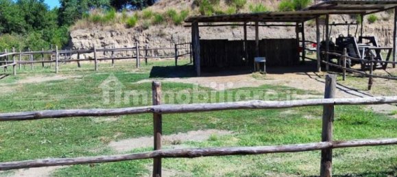 Terrain à Viterbo, Italy 23000m² No. 273198 5
