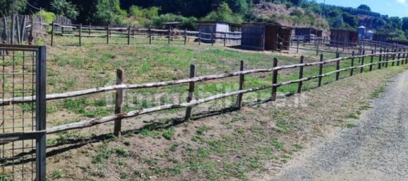 Terrain à Viterbo, Italy 23000m² No. 273198 24