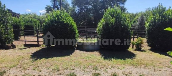 Terrain à Viterbo, Italy 23000m² No. 273198 20